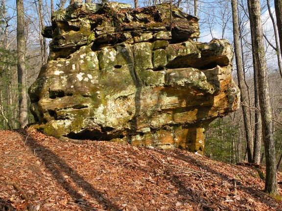 Bughead Rock - Koomer Ridge Trail